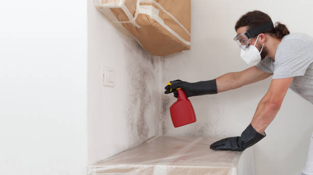 Professional Mold Testing technician working in Rockville Centre, NY